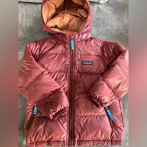 Patagonia Hi-Loft Down Sweater Hoody